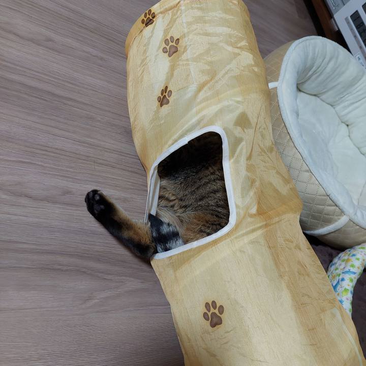 Efe0a67c b56b 4ddb 9964 a838a47a862a 1641591366215