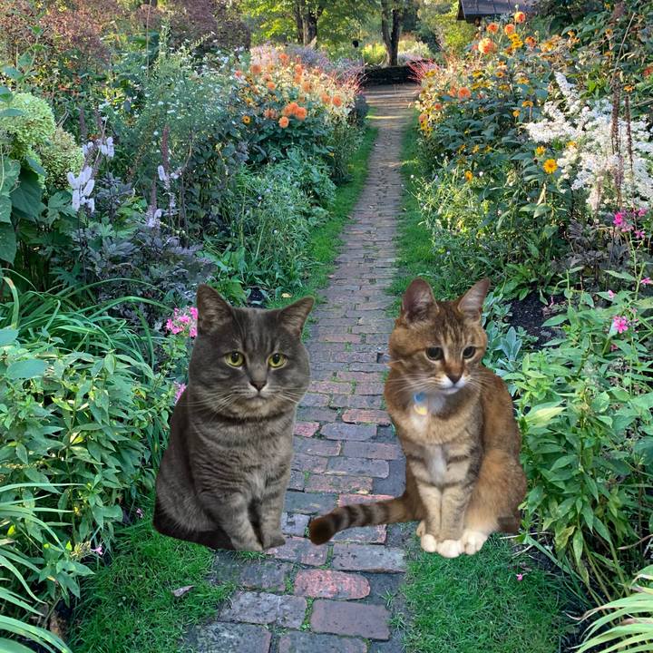 Efe0e8b3 3780 4289 afde 86357ef7e994 1728617763482