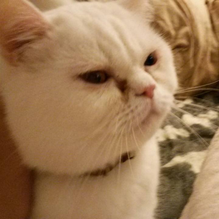 Efe12d49 998d 4397 9d60 a0d232782362 1520855721587