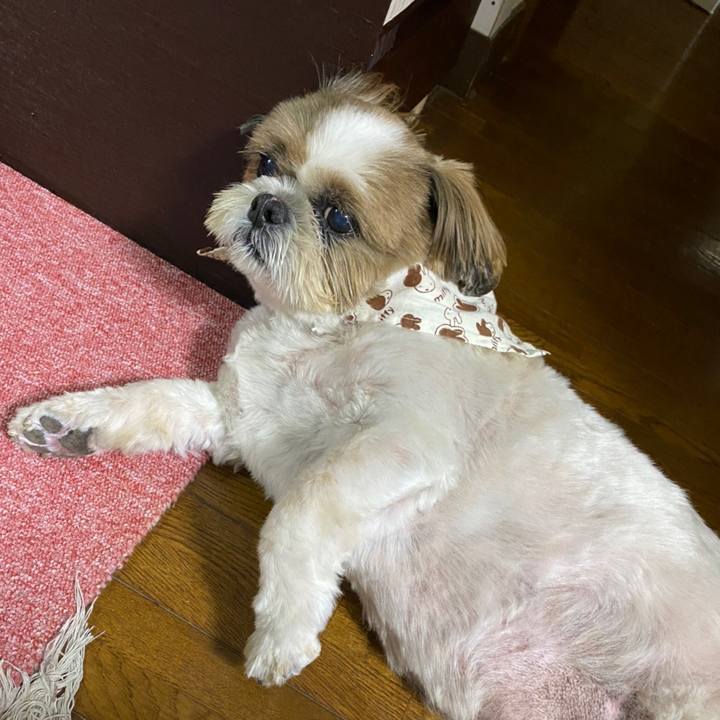 Efe13f37 416b 4e21 a3f0 a115c4596203 1596694816651