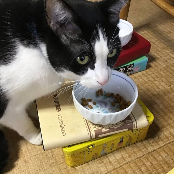 Efe1415a 9ece 461e a58f f9a8f456c4e2 1760759888570