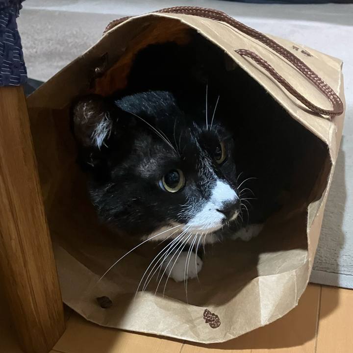 Efe184af b31e 450e 855c 076970d6abc2 1722310518995