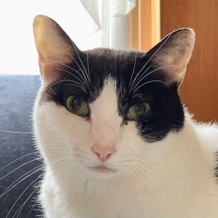 Efe1878e 46f2 4383 ab57 afe541cdba7d 1635819299638