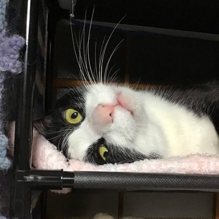 Efe1b246 aced 4017 bba5 9535b910b4e0 1760004537819