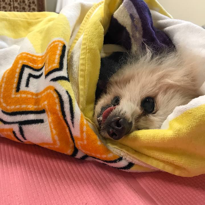 Efe1c741 317e 42b9 9192 006028c0957d 1524583474133