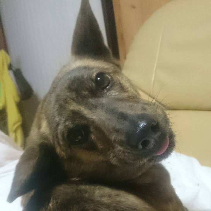 Efe1ff57 be72 4a1a bd62 ad807783ca42 1518692973205