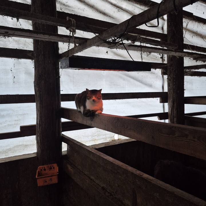 Efe201c5 28cf 410c af1a c8961a39d0e1 1765316220640