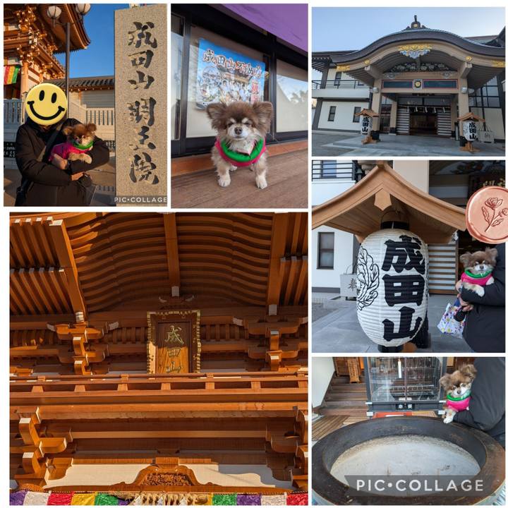 Efe21218 b22e 483a b820 9c070fd65ced 1768105354624