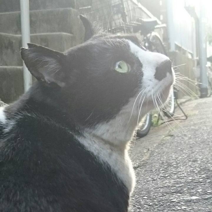 Efe24625 3a7e 472a a0b8 fc5eb3a3a533 1522482759661