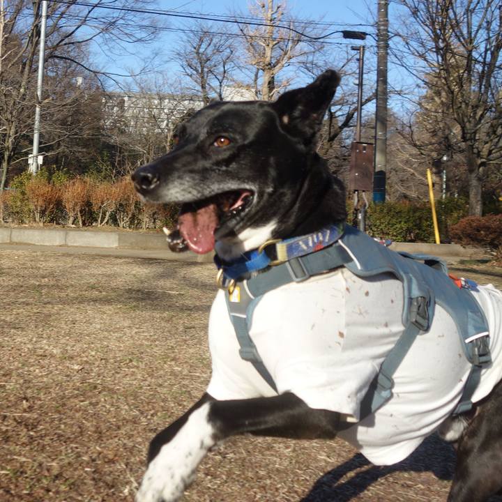 Efe248c8 2c9a 47df 9fd7 3edb1673e54d 1706749419717