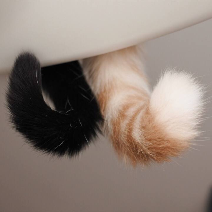 Efe27084 3b74 480b 9bef d2358607ecc9 1548226802326