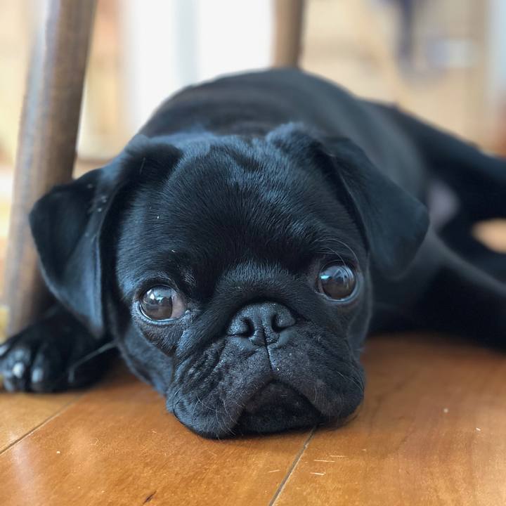 Efe27af1 922c 45f7 b239 5a2970633c76 1601807743199