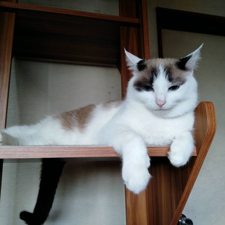 Efe28143 1eb4 442f ad7c 5e94061bc992 1661125008717