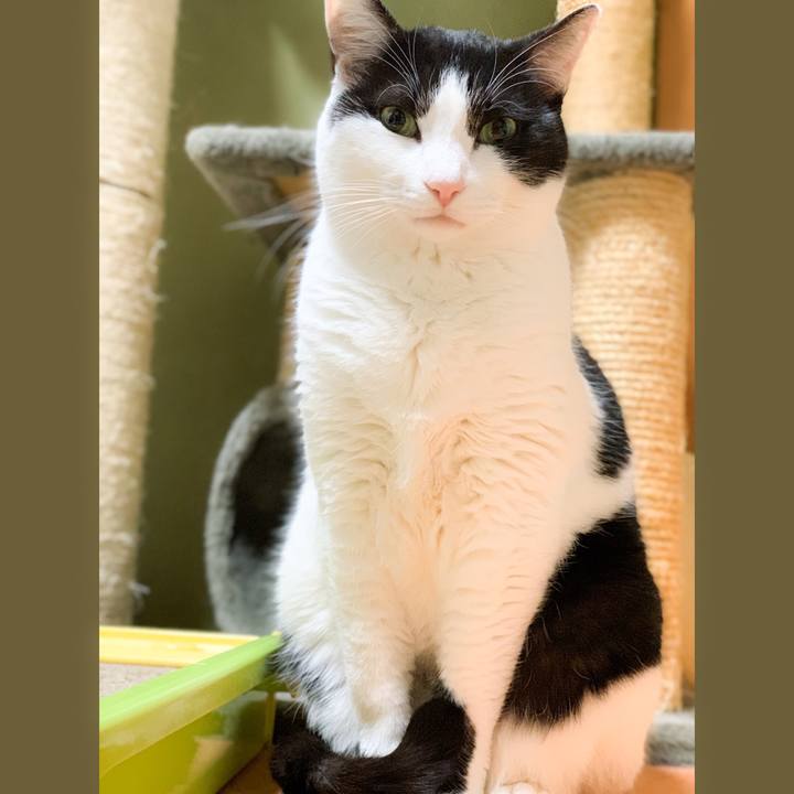 Efe2a40d 6c20 4f67 bdca 2b9482c087a8 1581644215221