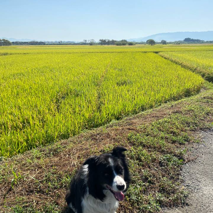 Efe2b688 3d4c 4ff5 91df 348b764d5350 1633222385906