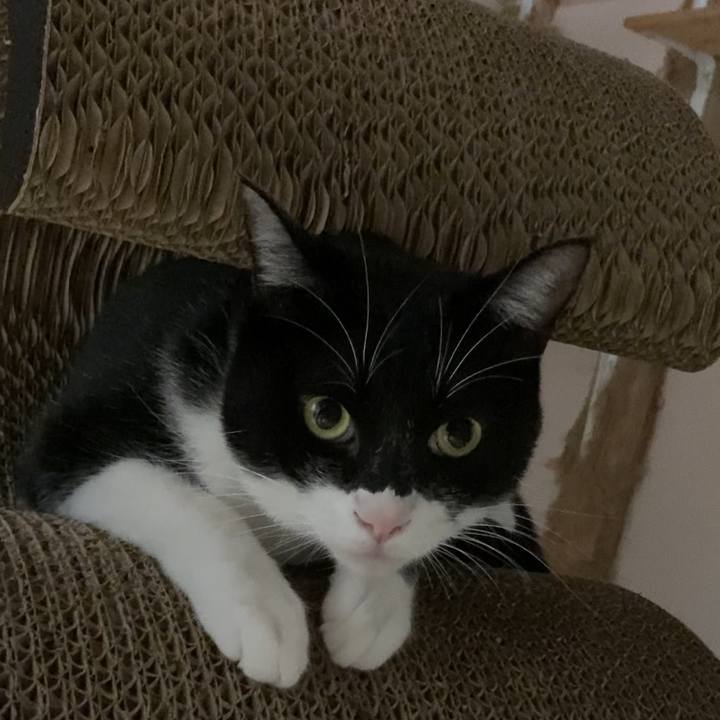 Efe2c243 09a5 4d12 8f83 55ee528f8baf 1607062747925