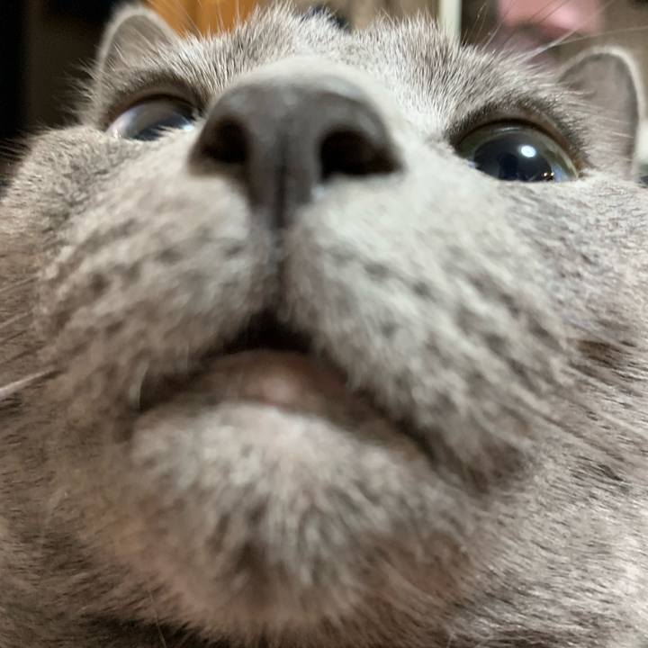 Efe2ce82 8c5b 432b 9fed 38446694bb58 1615943272936