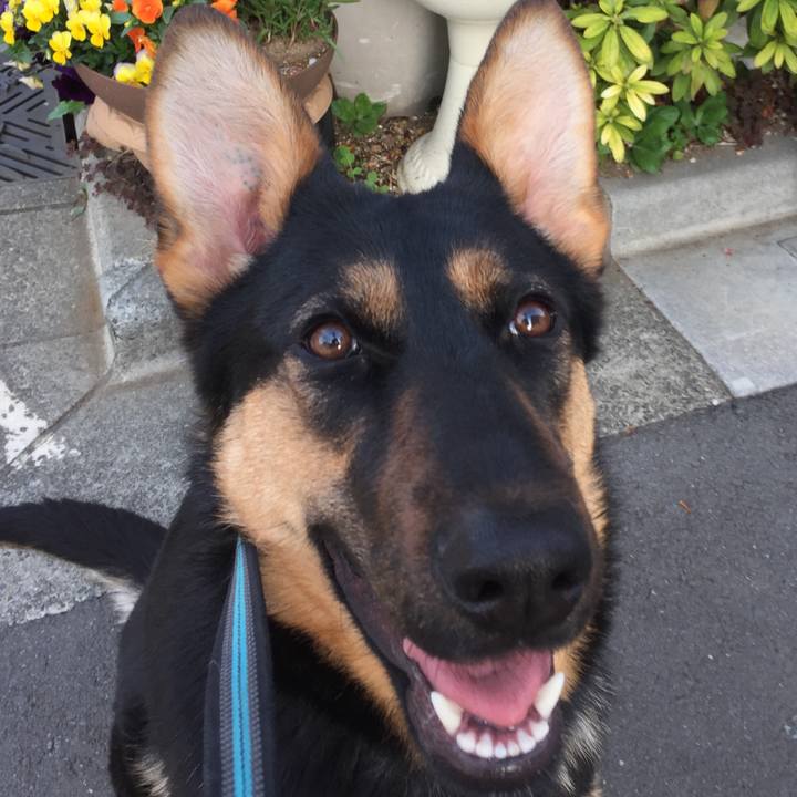 Efe31784 e734 4b61 9d56 df4b7aedfeb2 1522027878813