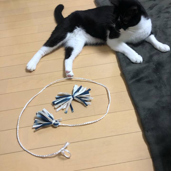 Efe335b5 9636 4e1a b313 001713e37790 1572447449549