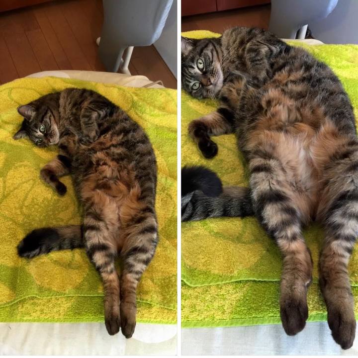 Efe354e0 bcab 4aa0 a539 7876e901862c 1773379699651