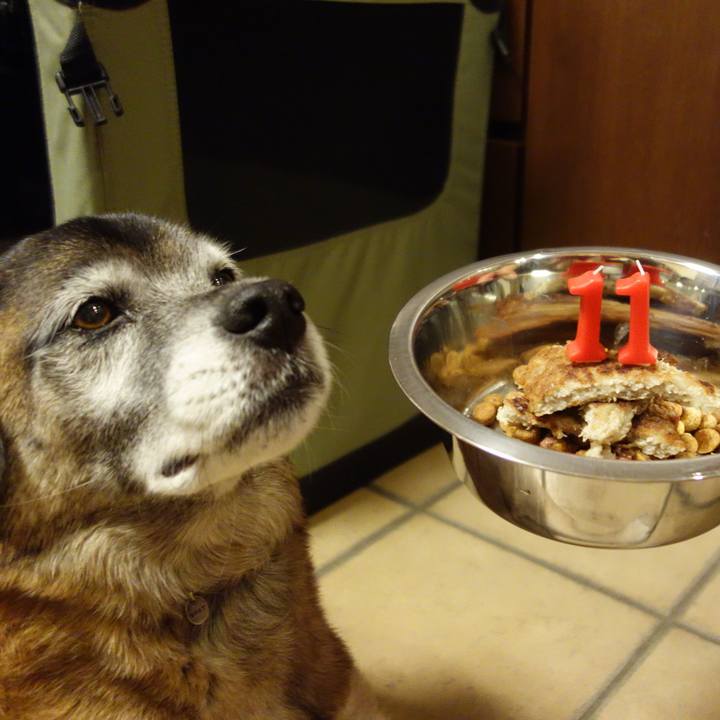 Efe360ea 1628 4854 8fb0 56c194d19995 1640916738916