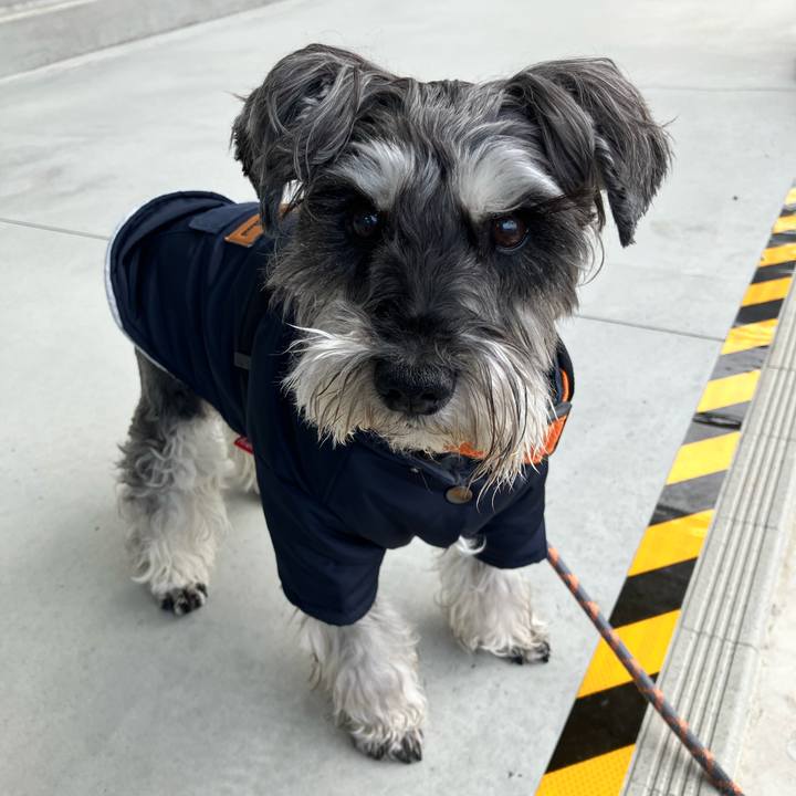 Efe381c0 2598 4a01 a8ae 7a7918da577f 1773534462704