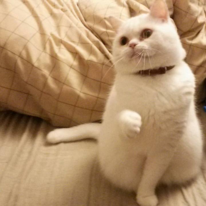 Efe3a0bf dc6e 4d8d 96aa 72e2663b9f53 1510701167037