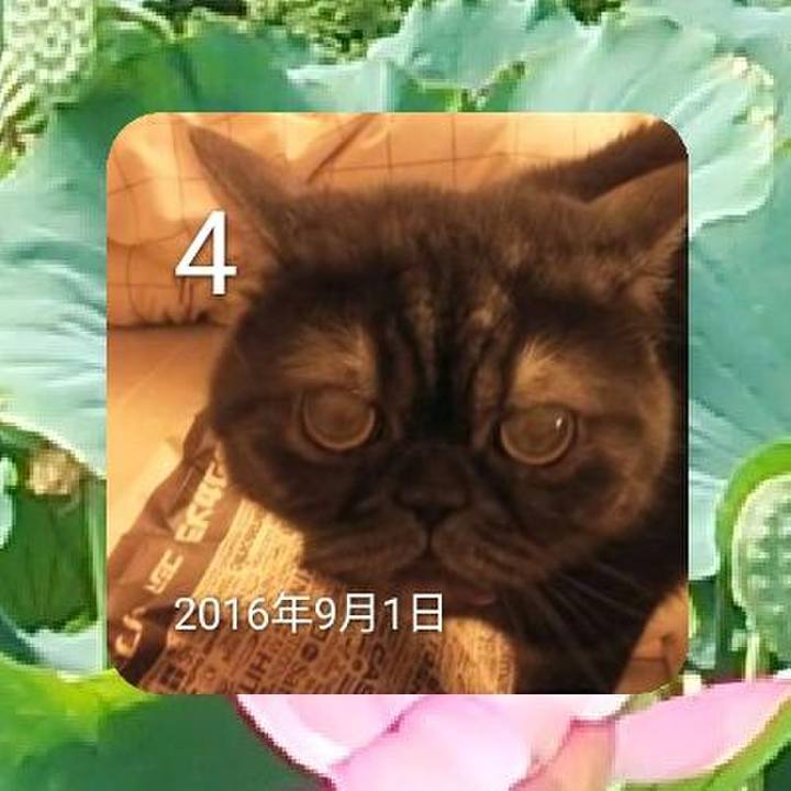 Efe3ae0f fed5 479e b728 2d7f441c3baf 1662253284459