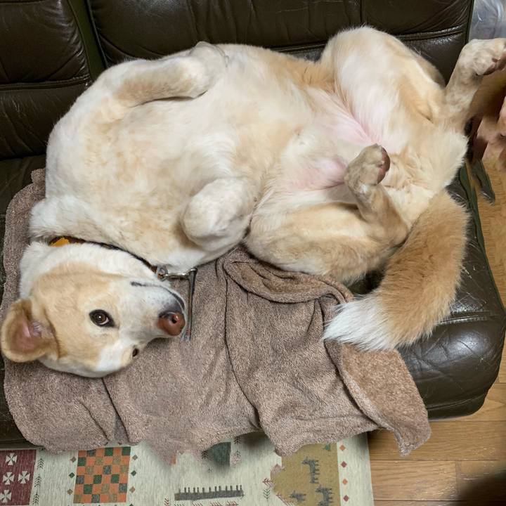 Efe3ae23 1f74 4728 9cd8 5636328847d0 1584631085139