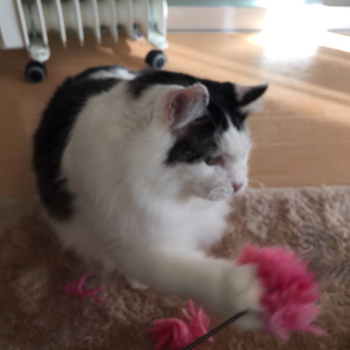 Efe3da3e d1cc 409a 9679 98a9cbf5879c 1512951318005