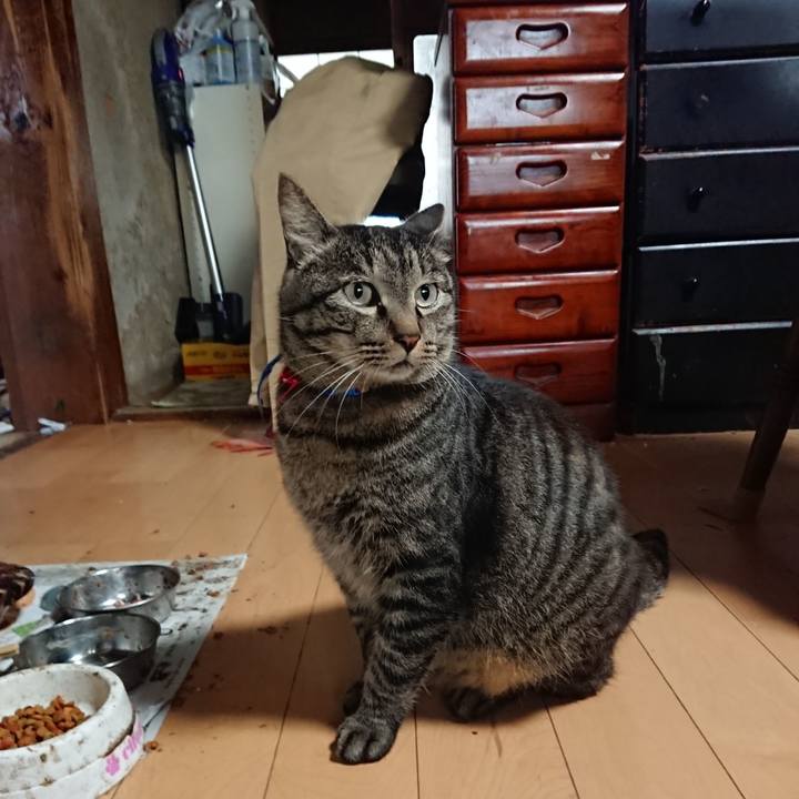 Efe41806 1d49 4a1e 81ad 4f4e9755aef3 1658264503588