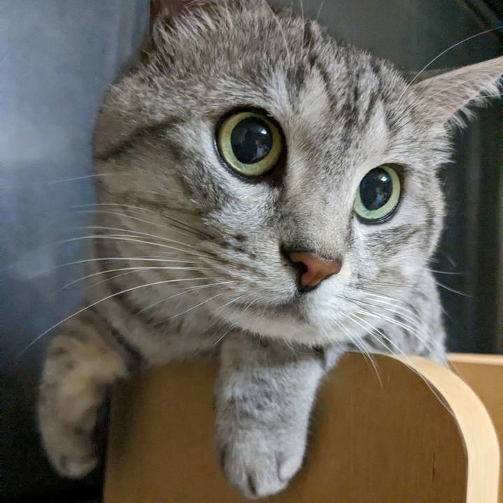 Efe424c8 5f60 4f38 bbd8 fa3b79ecb670 1700746505006