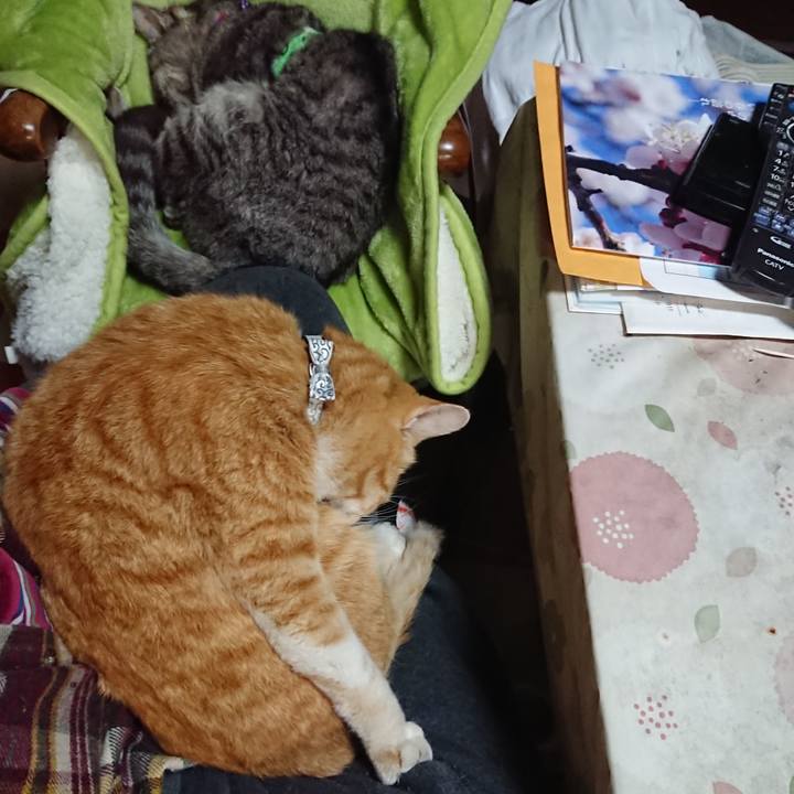 Efe43317 7405 47ef b8a4 8dd2d908957a 1587171711490