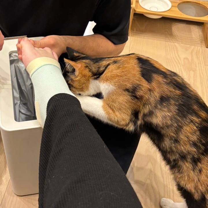 Efe43489 5380 4f66 b3db 94711914b03d 1770546689843