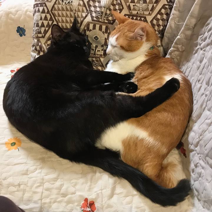 Efe44681 d9f5 442e 9010 fd5f2494d15b 1585835751352