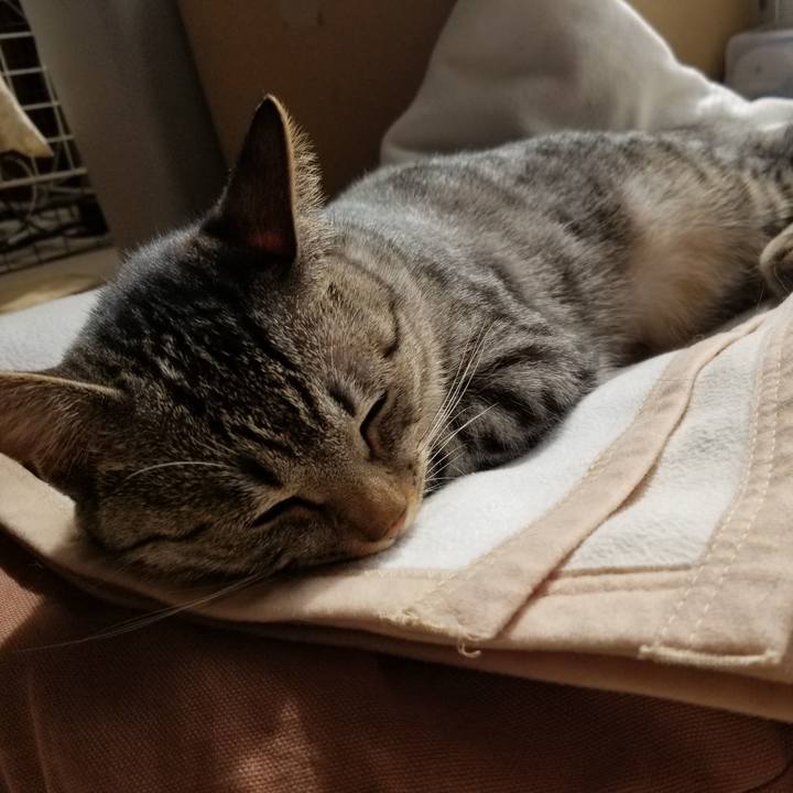 Efe4631d 0f18 4d3c 9ac9 1b1e48c92e93 1681177409421