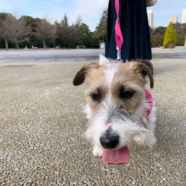 Efe497a9 94bc 4362 b4a2 f8444b566559 1578742607903