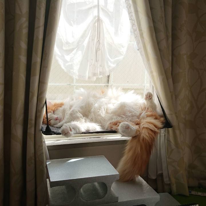 Efe4b69a f49d 4368 8737 ffb5828ef5be 1553221968570