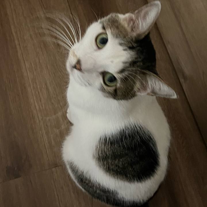 Efe4ca6a 0c1e 460b 9a3d 461ce279aff0 1759145614952