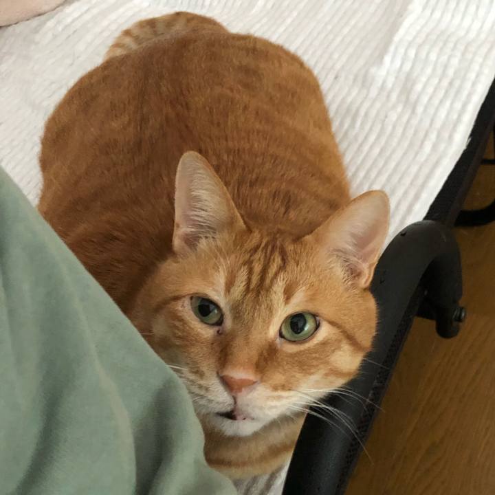 Efe4e4c7 3b5b 4483 a9ac 70abd879f5ec 1648244161007