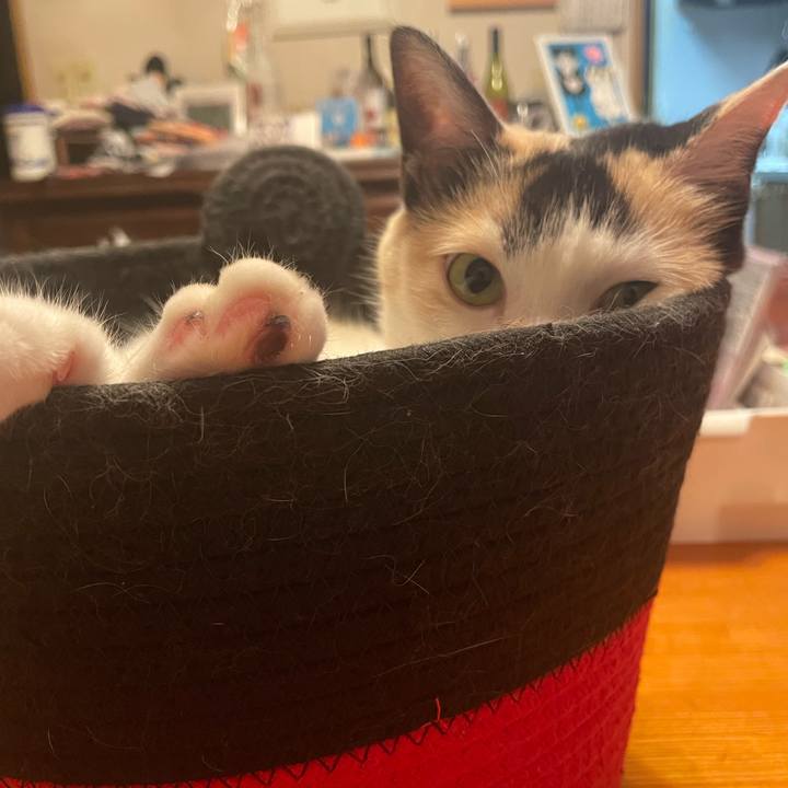 Efe4f224 058d 4f47 ae35 90a3a72ea2c1 1748914008819