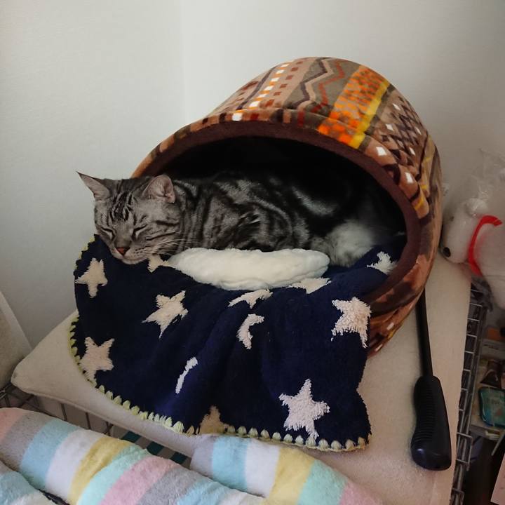 Efe4fe59 0fc3 49bf b940 4d3915c65d64 1575614092963