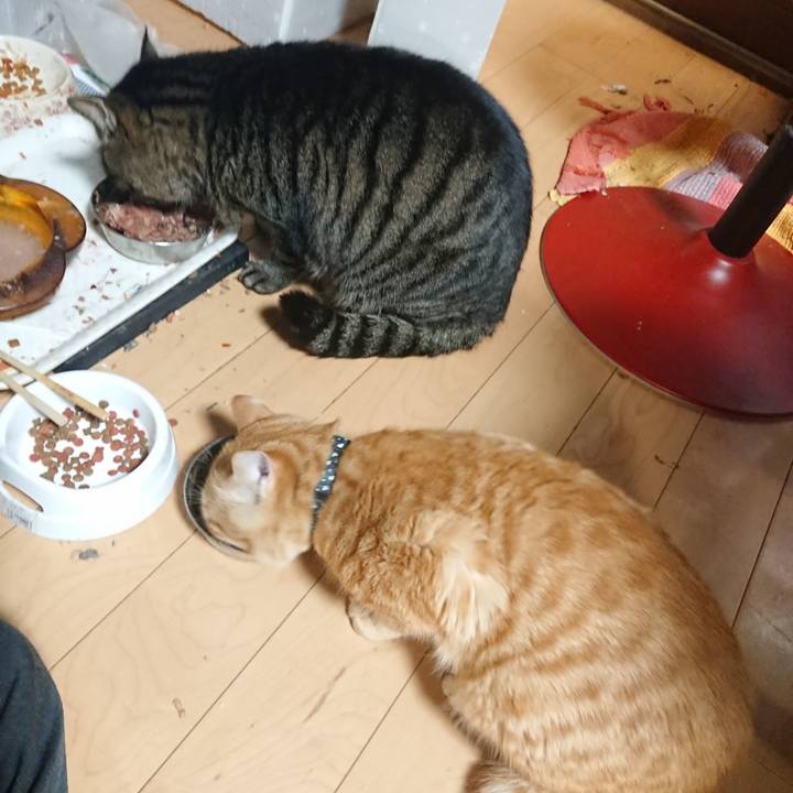 Efe509f7 e29a 4379 8b5f f20b184df56c 1640174210559