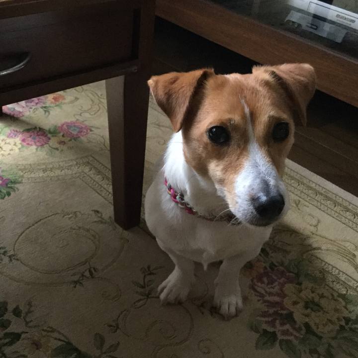 Efe53c8e c443 484f ae40 d18ce053d104 1524620642977