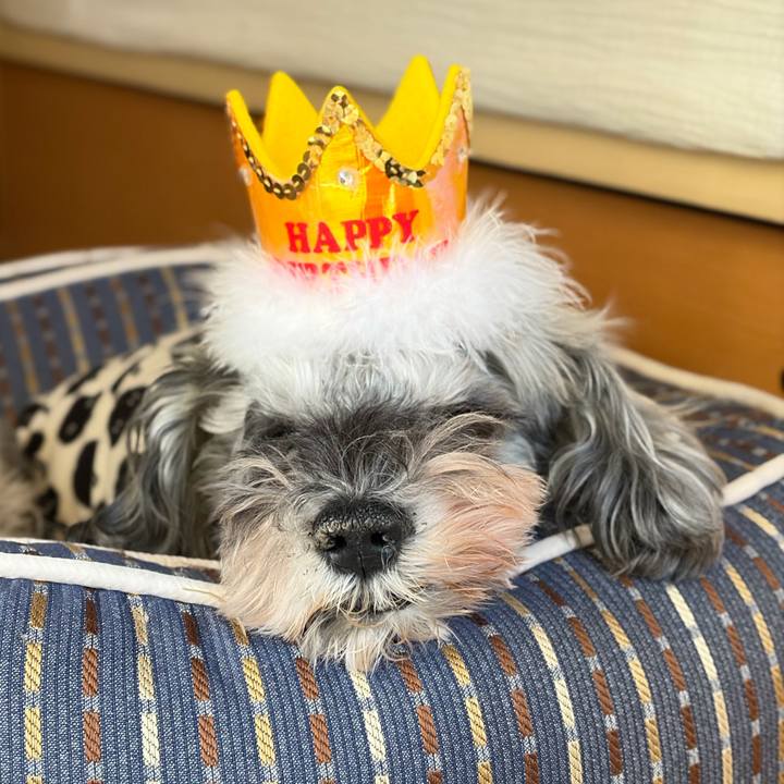 Efe543f8 50fa 4218 b82a c862d8d87c6b 1765932589598