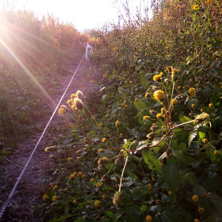 Efe54ffe a18c 4f8a 88f3 6b2019105c4c 1512260337844