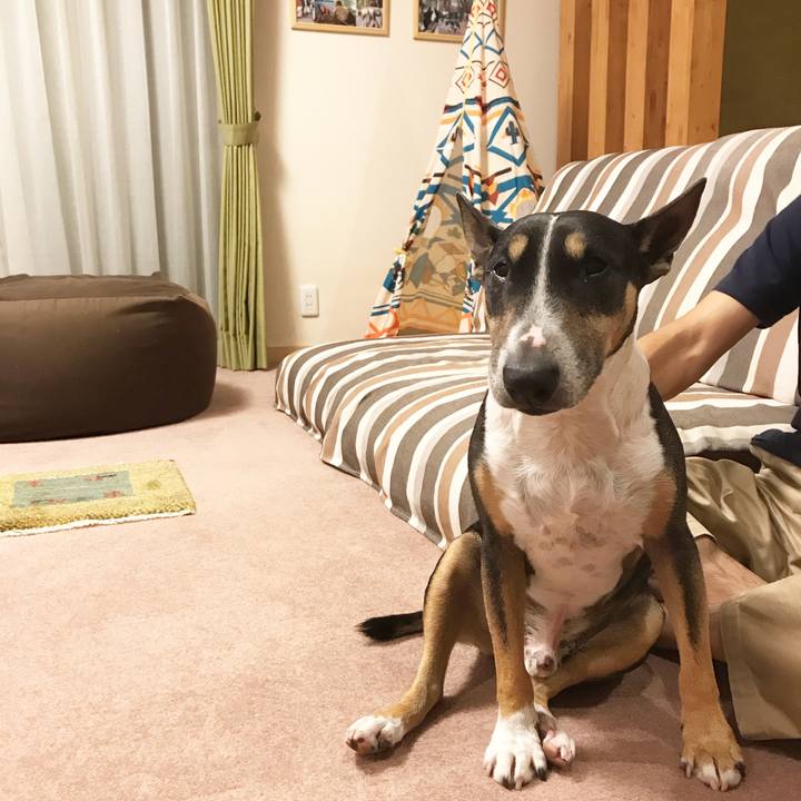 Efe577b0 c78f 4e24 a3c3 98832b9be431 1507980282261