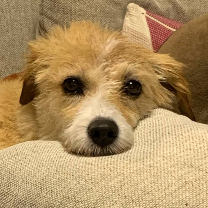 Efe588e1 c576 4d4d b0db 37e747baee46 1594730334797