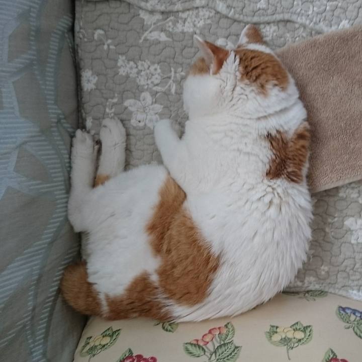 Efe5a893 85d5 4646 a0ff ede565c441be 1566179307000