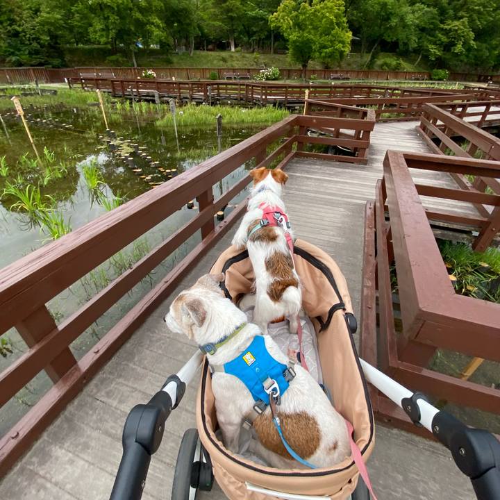 Efe5d261 c8b1 43ae 9637 3878833745f4 1717680127897